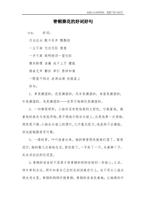 青铜葵花的好词好句 - 百度文库