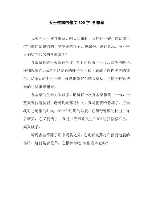 它就像一位害羞的姑娘似的,慢慢地把叶子合拢起来,很有意思,怪不得