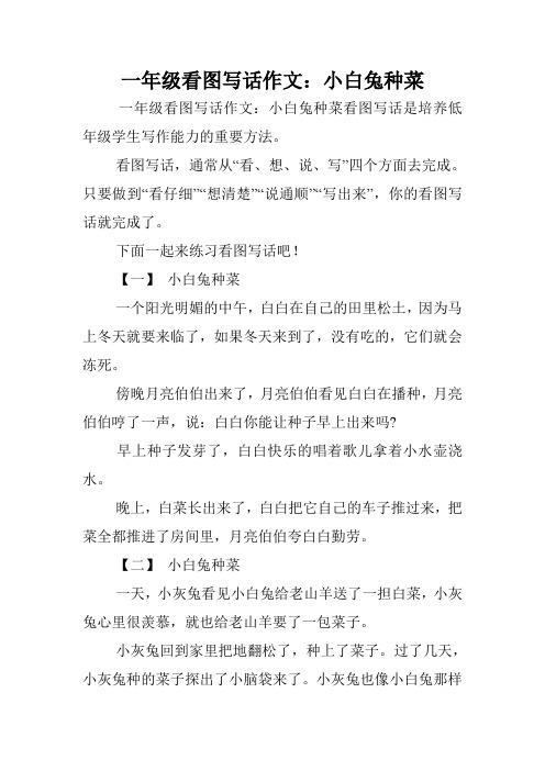 一年级看图写话作文:小白兔种菜 一年级看图写话作文:小白兔种菜看图