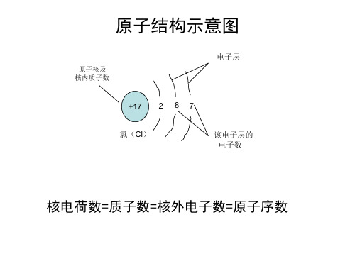 原子結構示意圖 電子層 原子核及 核內質子數 17 氯(cl) 2 8 7 該