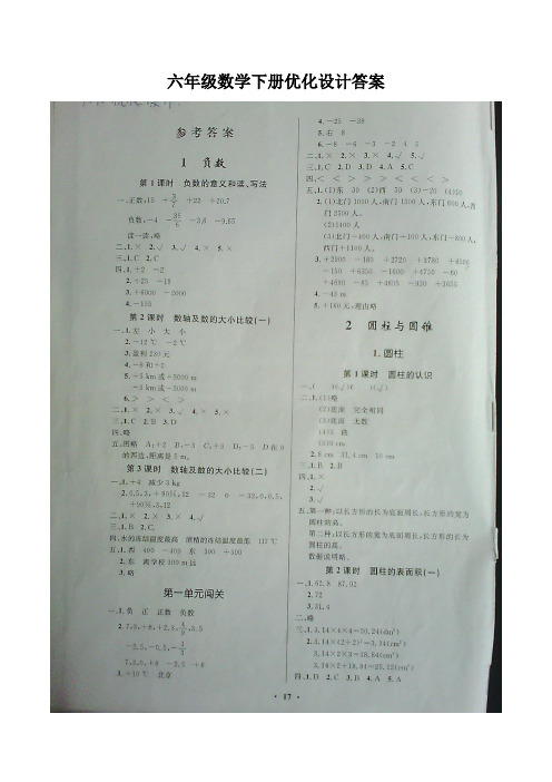 六年级数学下册优化设计答案