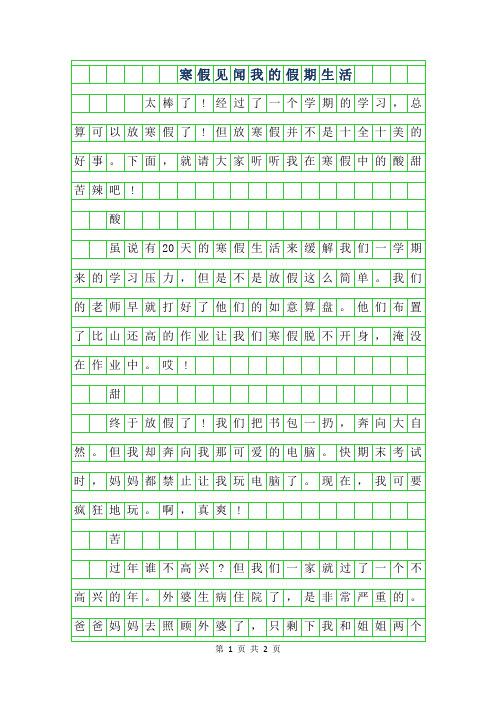 寒假见闻我的假期生活 太棒了!