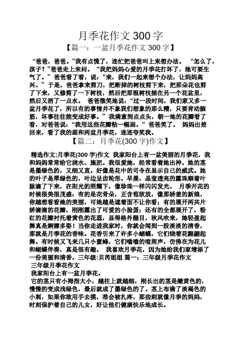 月季花作文300字 【篇一:一盆月季花作文300字】 "爸爸,爸爸.