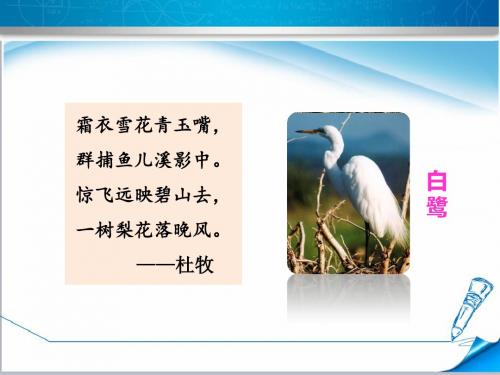 惊飞远映碧山去, 白鹭 一树梨花落晚风.