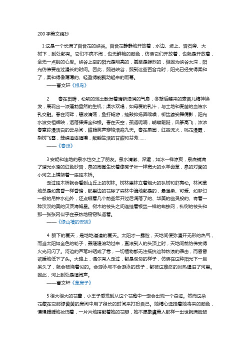 峡谷上空的阳光496_702竖版 竖屏