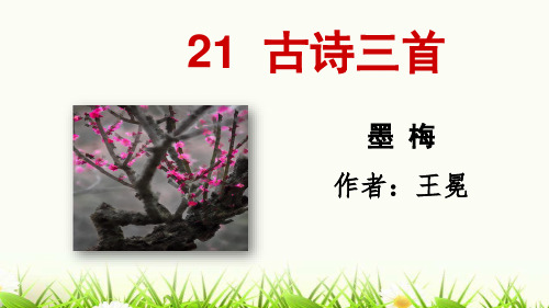 21 古詩三首 墨梅 作者:王冕 走近作者 王冕(1287—1359) 字元章,號煮