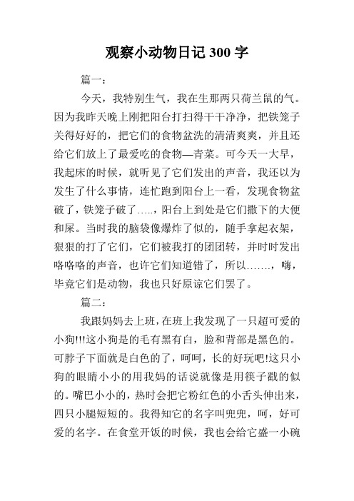 觀察小動物日記300字 篇一: 今天,我特別生氣,我在生那兩隻荷蘭鼠的氣