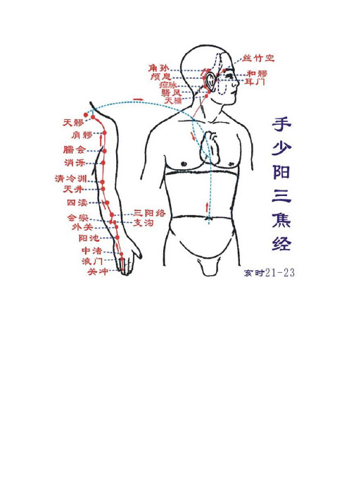 人体经络活动时间表 21:00-23:00亥时手少阳三焦经,免疫系统修复.