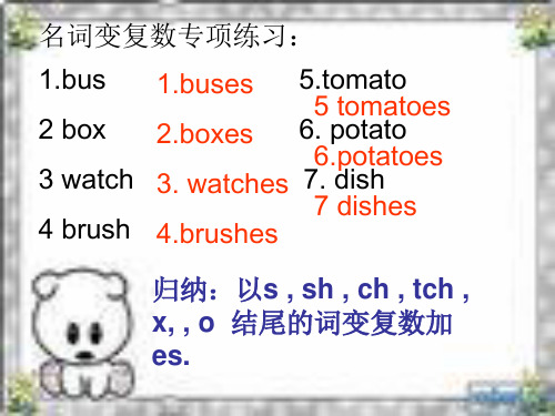 名词变复数专项练习: 1.bus 5.tomato 5 tomatoes 2 box 6. potato 2.