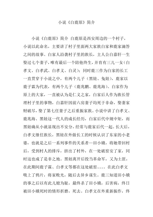 小說《白鹿原》簡介白鹿原是西安周邊的一個村子,小說以此命名,主要講