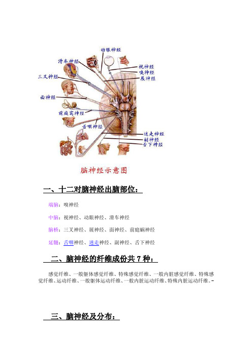 一,十二对脑神经出脑部位:端脑:嗅神经中脑:视神经,动眼神经,滑车神经