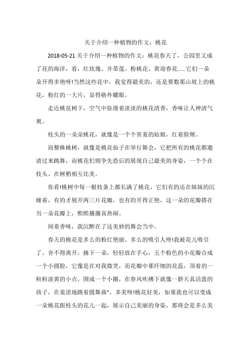 关于介绍一种植物的作文:桃花 2018-05-21关于介绍一种植物的作文