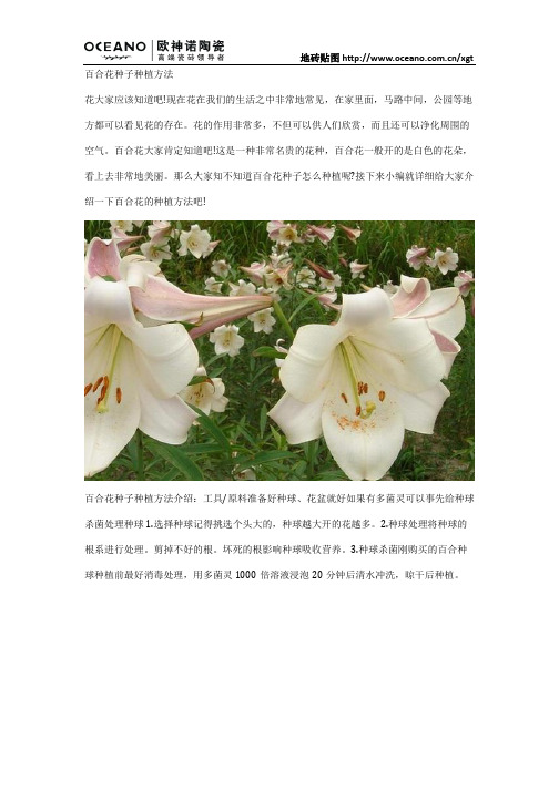 百合花大家肯定知504_713竖版 竖屏