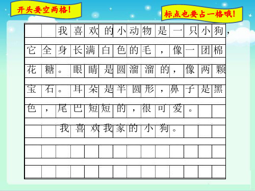 可爱的小狗二年级写话 - 百度文库