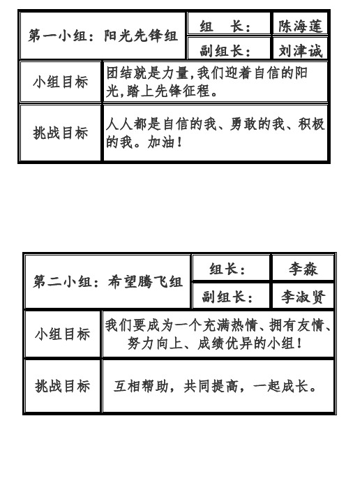 第二小组:希望腾飞