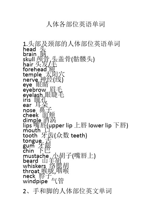 人体部位中英文 百度文库