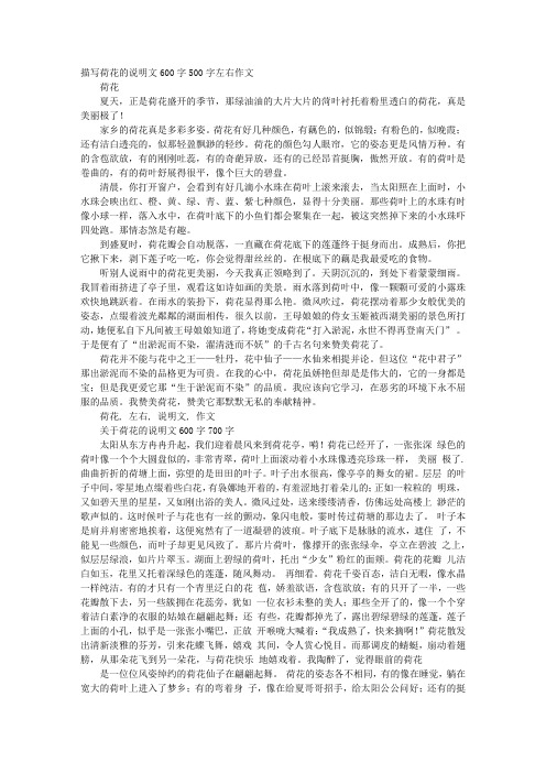 家乡的荷花真是多彩多姿.