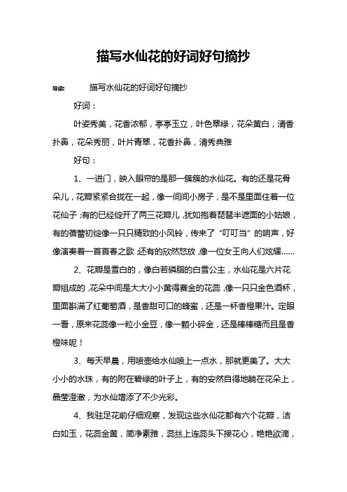 描写水仙花的优美句子 - 百度文库