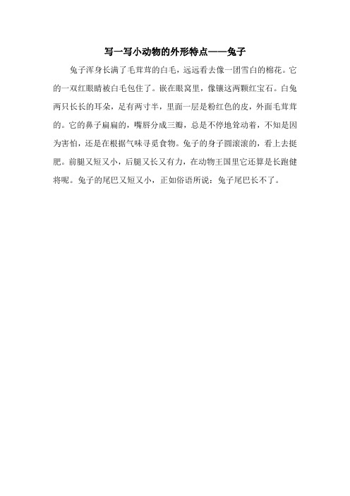 写一写小动物的外形特点——兔子 兔子浑身长满了毛茸茸的白毛,远远看