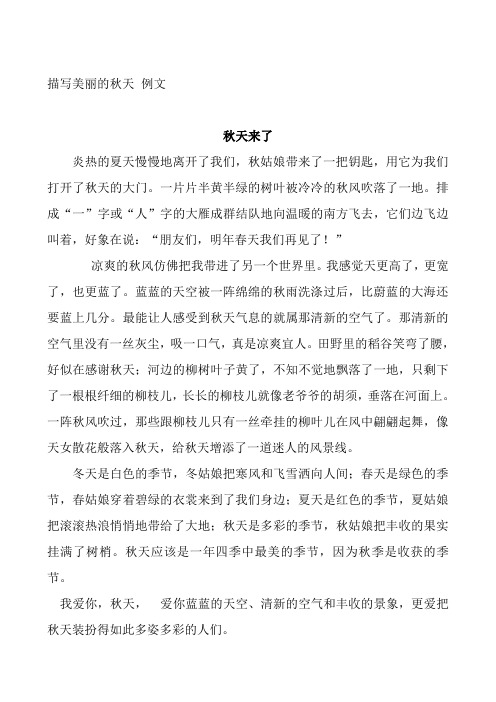 描写冬天的小学生作文 百度文库
