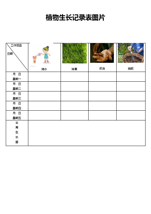 植物生長記錄表 - 百度文庫