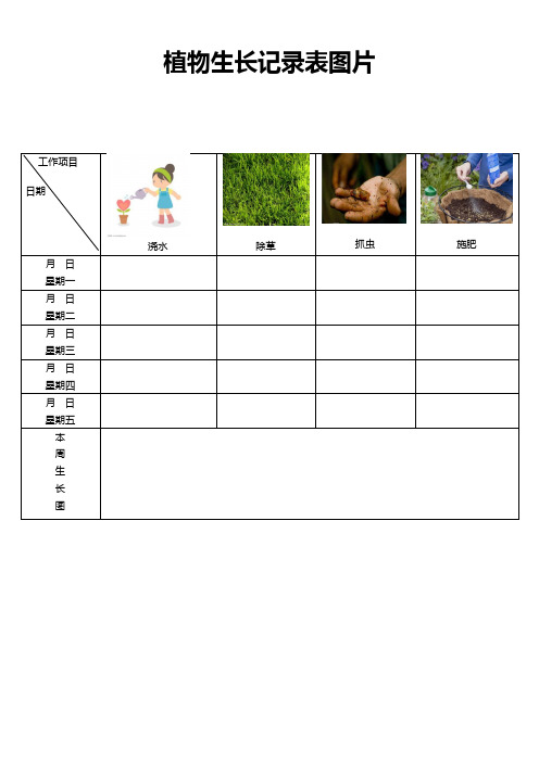 植物生长记录表 - 百度文库