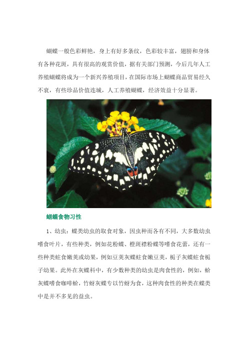 蝴蝶一般色彩鲜艳,身上有好多条纹,色彩较丰富,翅膀和身体有各种花斑