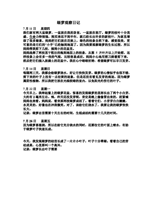 绿萝作文300字（绿萝作文300字左右三年级） 绿萝作文300字（绿萝作文300字左右三年级）《绿萝作文300字以上》 作文大全