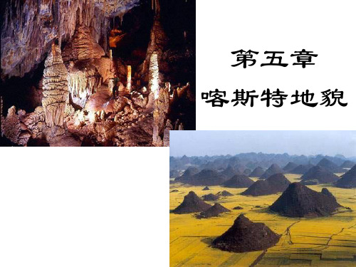 喀斯特地貌是什么意思 - 百度文库