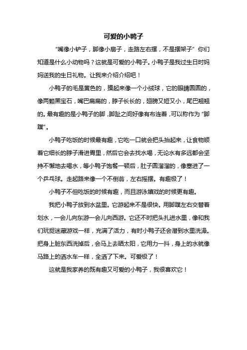 小鸭子作文 - 百度文库