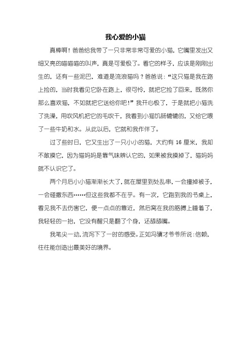 小猫作文百度搜索引擎下载=小猫作文百度搜索引擎下载安装