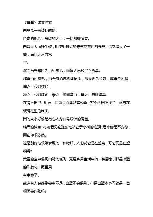 色素的配合,身段的大小,一切都很适宜.