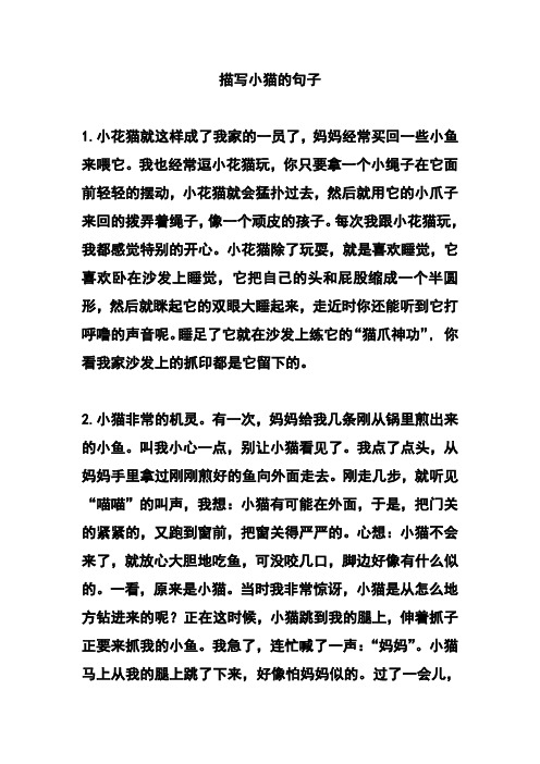 描写小猫的句子 1.