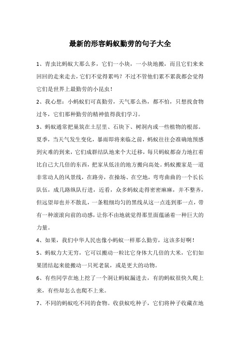 形容蚂蚁的句子和词语 - 百度文库