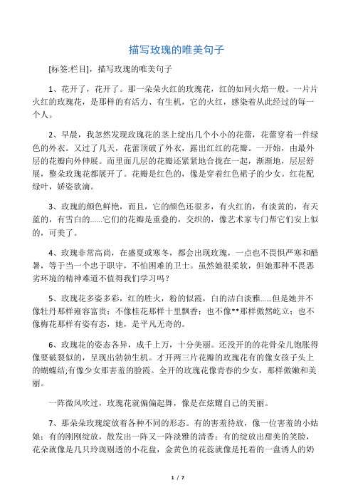 形容玫瑰花开的漂亮的句子 - 百度文库