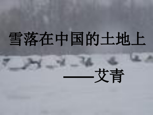 雪落在中国土地上是谁的作品_雪落在中国的土地上创作时间_雪落在中国的土地上艺术特点