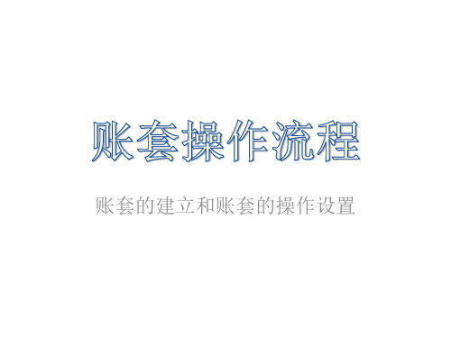 账套的建立和账套的操作设置 账套建立 建立账套首先要进入系统管理