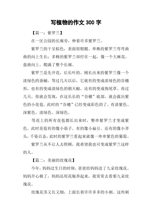 植物作文300字优秀 - 百度文库
