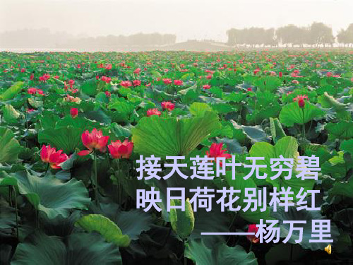 描写西湖的古诗_描写西湖的古诗_描写西湖的古诗