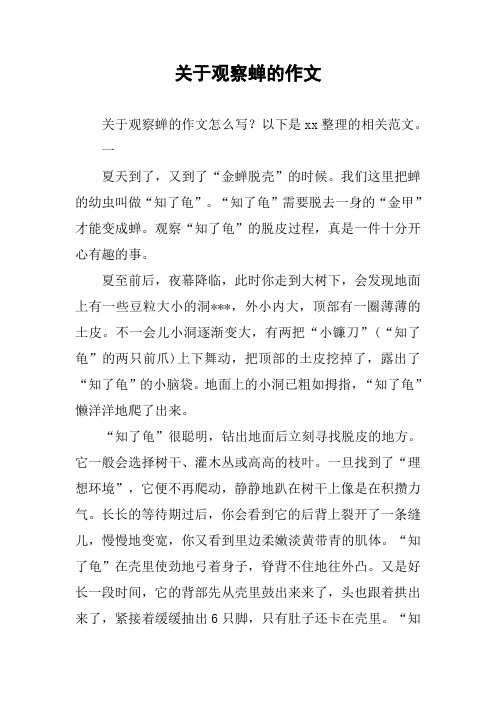 以下是xx整理的相关范文.一夏天到了,又到了"金蝉脱壳"的时候.