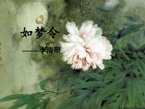 如梦令 ———李清照 背景知识 词曲内容 课后练习 词牌介绍 作者简介