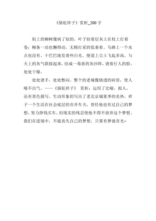 祥子小传200字 - 百度文库