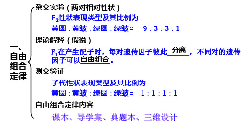 一, 自由 组合 定律 杂交实验(两对相对性状) f2性状表现类型及其比例