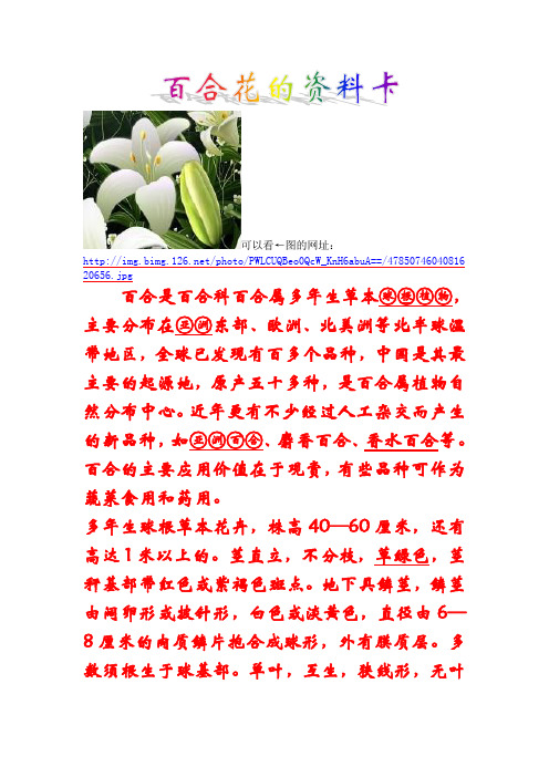 百合花的资料 - 百度文库