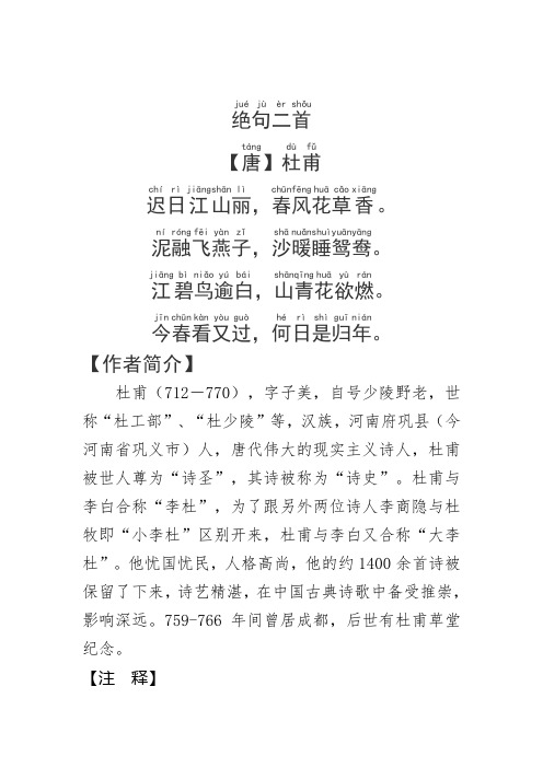 汉族,河南府巩县(今河南省巩义市)人,唐代伟大的现实主义诗人,杜甫被