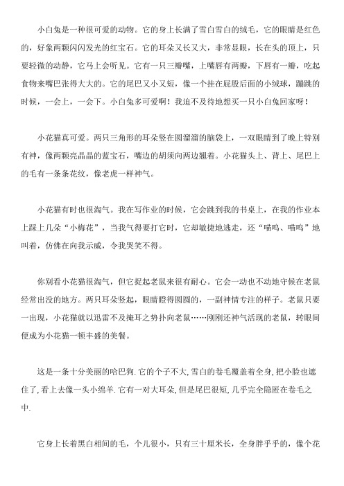 小白兔是一种很可爱的动物.