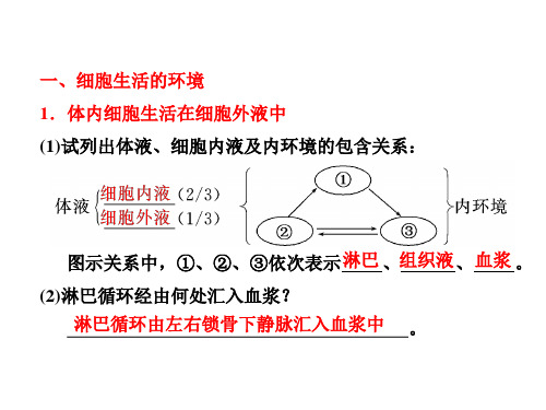 内细胞生活在细胞外液中 (1)试列出体液,细胞内液及内环境的包含关系