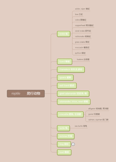 英语动物思维导图 - 百度文库
