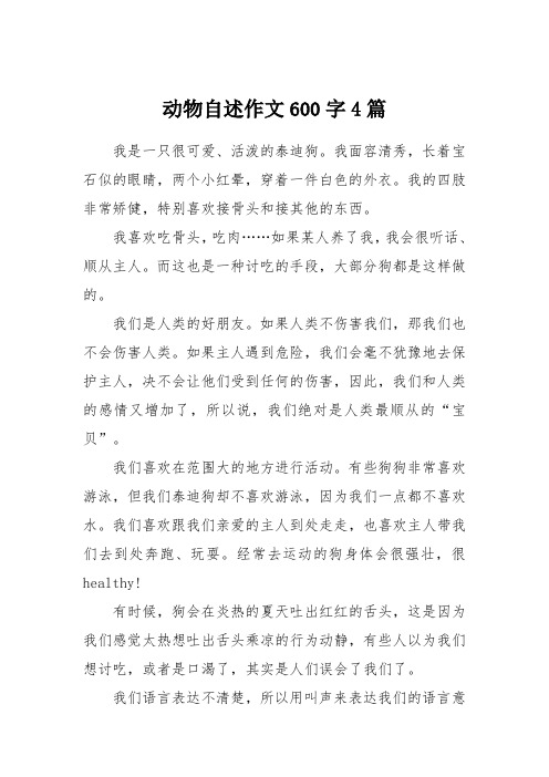 动物自述作文600字4篇 我是一只很可爱,活泼的泰迪狗.