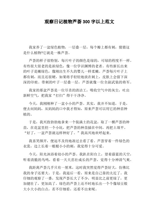 观察日记植物芦荟300字以上范文 我家养了一盆绿色植物,一层叠一层